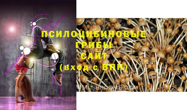 мдпв Богородск