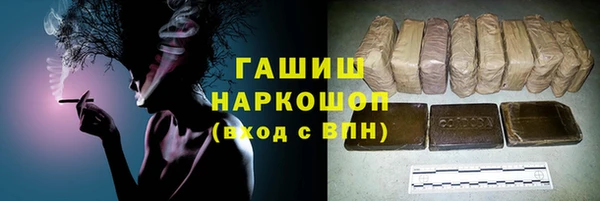 мдпв Богородск