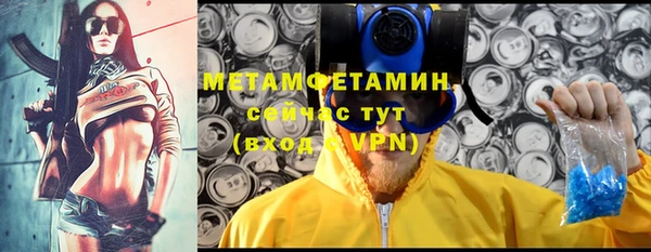 мдпв Богородск
