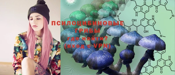 стаф Пересвет