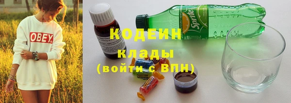 мдпв Богородск